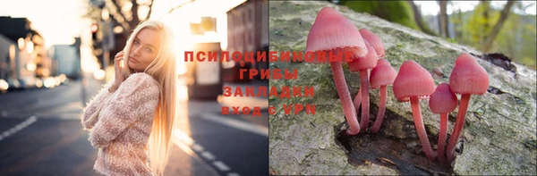 молекула духа Нязепетровск